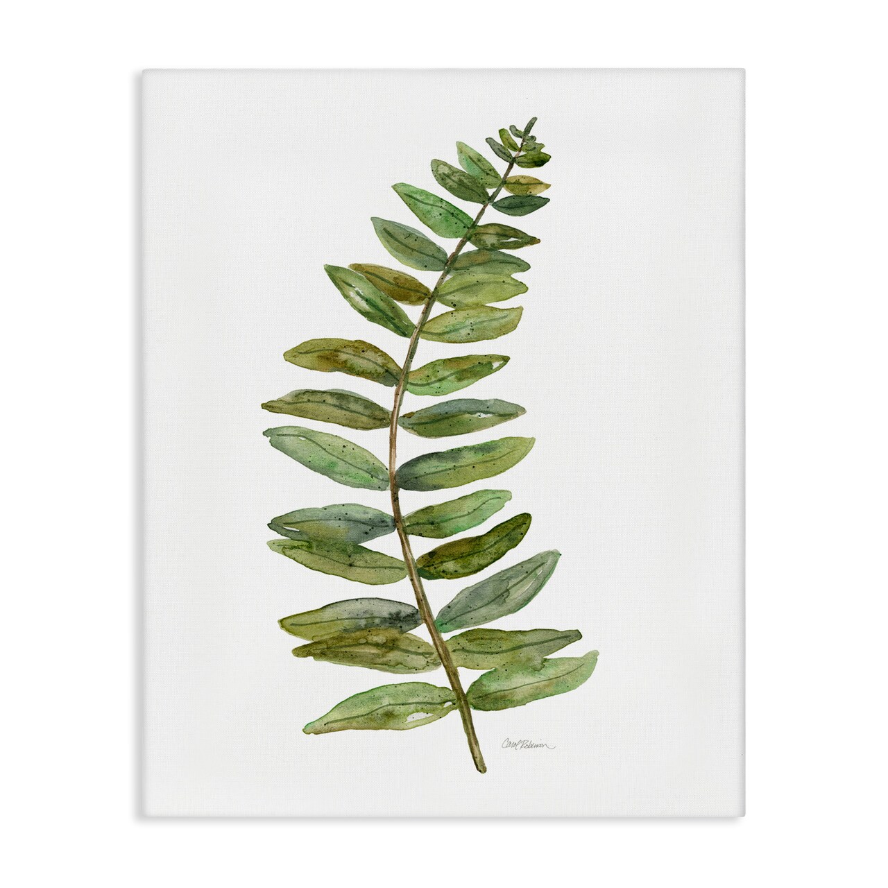 Stupell Industries Curved Fern Branch Canvas By Carol Robinson
